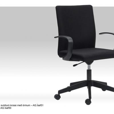 Isafold31 2013